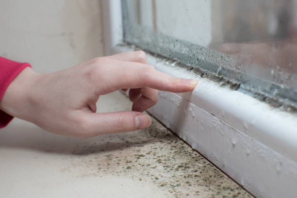 Best HVAC Mold Inspection and Cleaning  in North Spearfish, SD